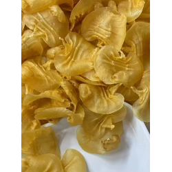 特級湛江本土赤嘴花膠|500 克裝 特級湛江本土赤嘴花膠|500 克裝
