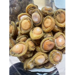 特級溏心乾鮑|2 頭規格 500 克裝 特級溏心乾鮑|2 頭規格 500 克裝