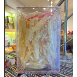 精選 200 頭小花膠筒 精選 200 頭小花膠筒